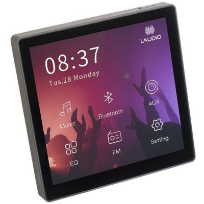 W20BT - Nástěnný přehrávač s displejem Bluetooth FM USB 2 x 20W